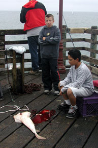 Brad reacts to the sand shark spilling its blood onto the pier