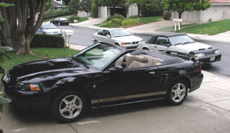 New pony and old war horse.  Beemer doesn't belong to us.