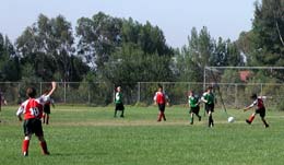 Brad the midfielder calls for the ball
