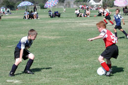 Doug the Wall eyes the ball